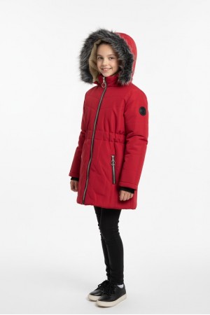 By Gazi Kırmızı (11 Yaş)…