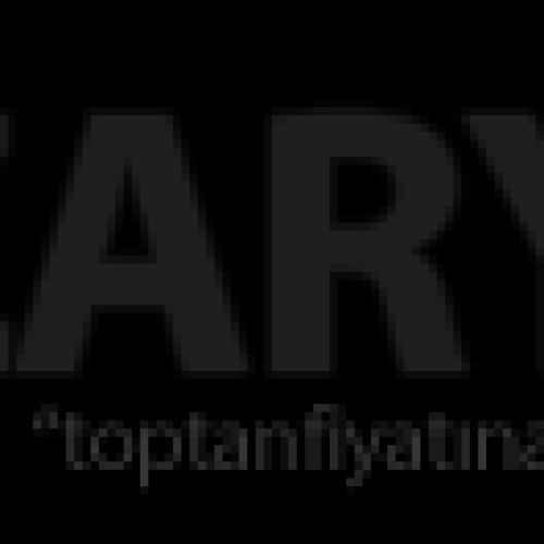 CatPower 3130 Havalı Çivi Tabancası 10-32mm CatPower 3130 Havalı Çivi Tabancası 10-32mm